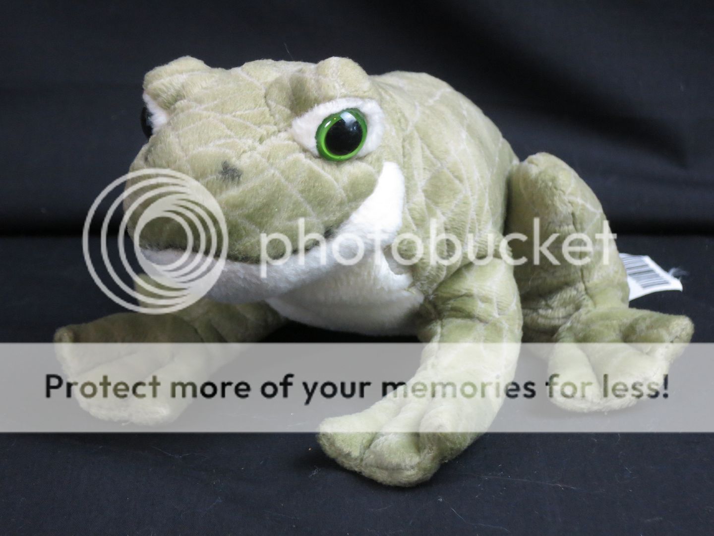 bullfrog stuffed animal